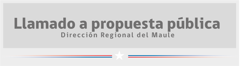 Llamado a propuesta publica